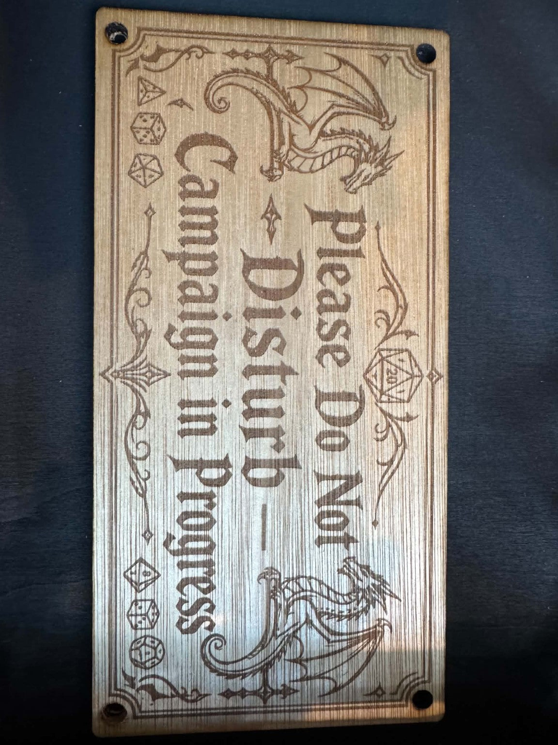 Original photograph of Please Do Not Disturb – Campaign in Progress Wooden Wall/Door Sign
